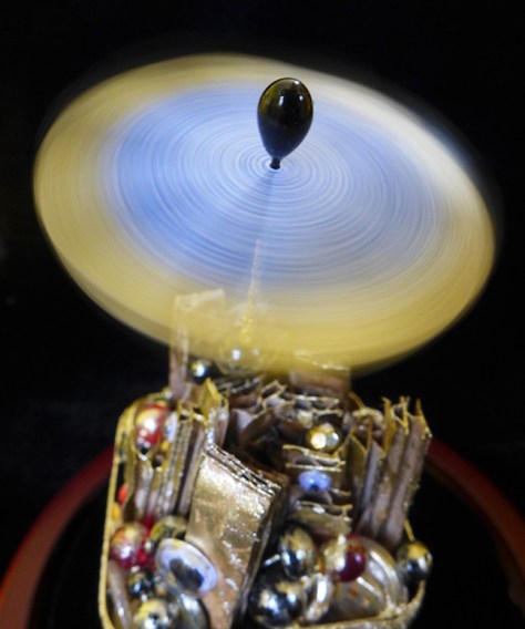 Somewhat Larger Critter in Motion